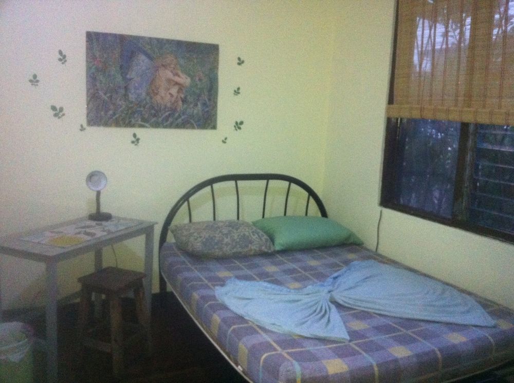 In The Wind Hostel And Guesthouse San Jose  Exterior photo